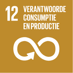 home-sdg-icon-nl-12